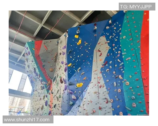 广州攀岩队的力量与技巧探讨：攀岩运动的魅力与挑战分析