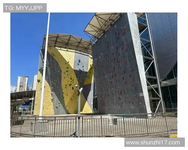 武汉攀岩队的耐力挑战与训练探索聚焦攀岩运动的未来发展
