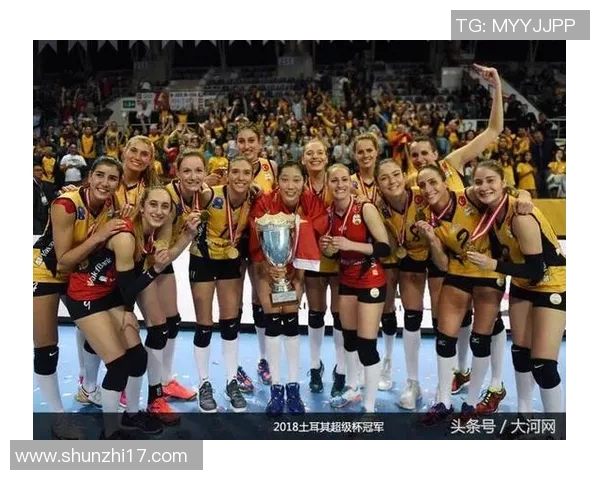 西安排球队个人能力分析与大满贯赛事表现评析